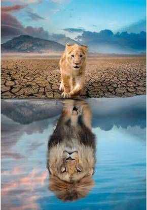 Clementoni Self Reflection