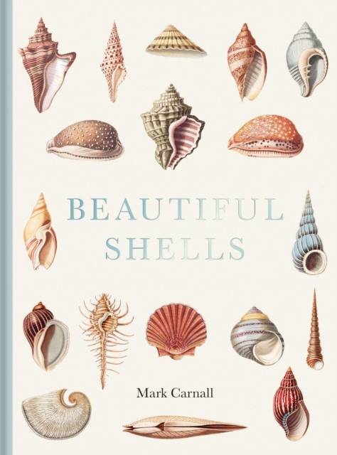 Beautiful Shells (Inbunden)