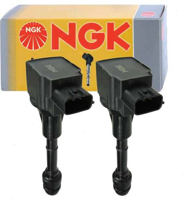 2 pc 49009 Ignition Coils