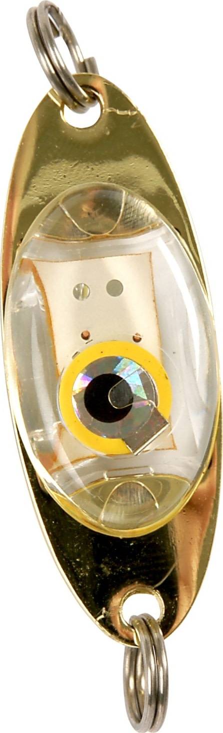 Ifish Apollo Multicolor