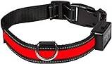 Rechargeable Luminous Dog Collar USB Rouge