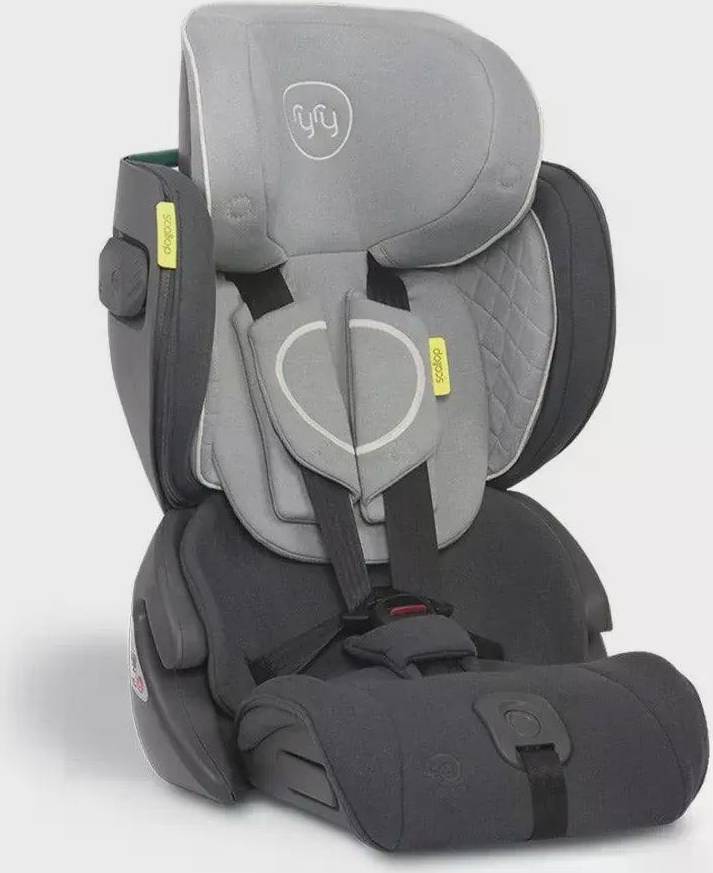 RyRy Scallop Compact