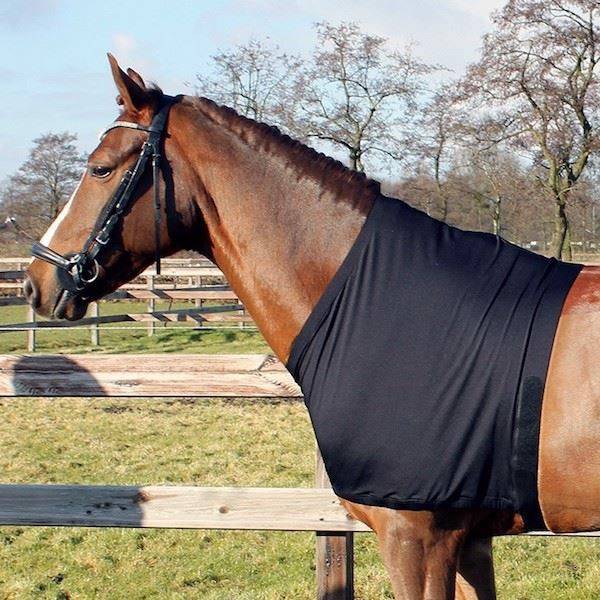 QHP Chest And Shoulder Protection In Elastane Q-Essentials - Noir