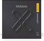 D'Addario XTPB032