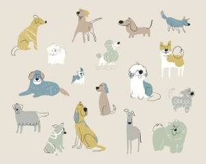 Happy Dogs