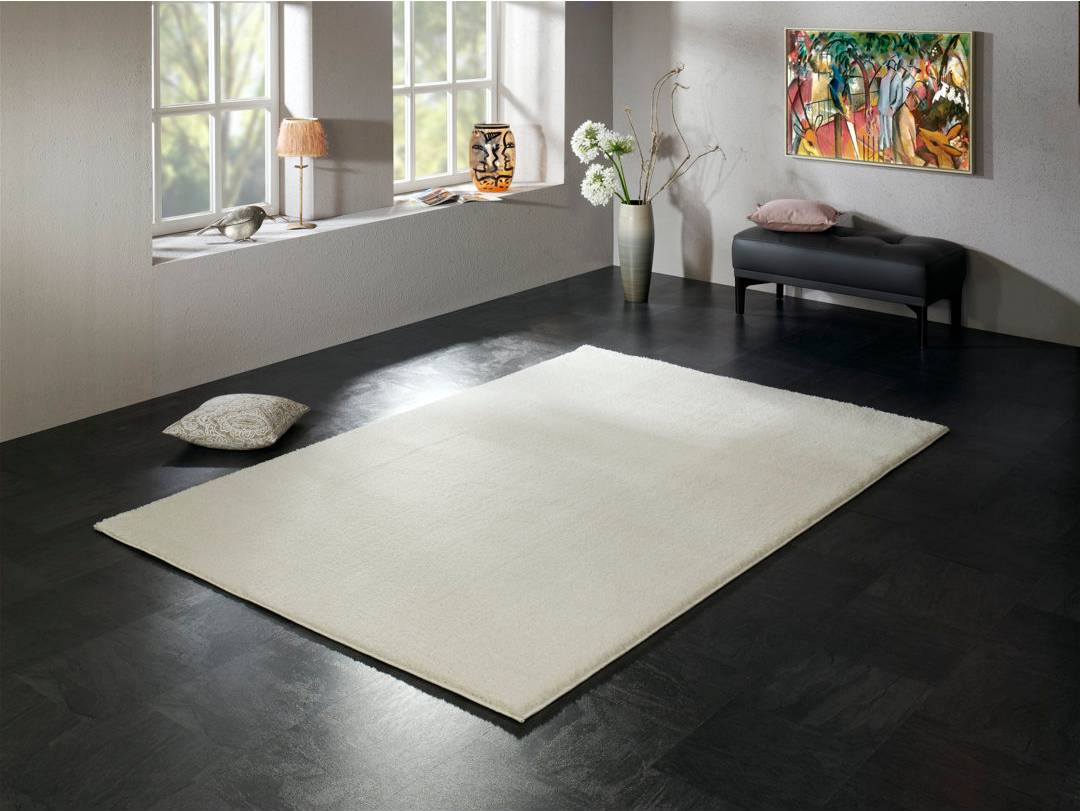 Brayden Studio Shag Cream Rug White