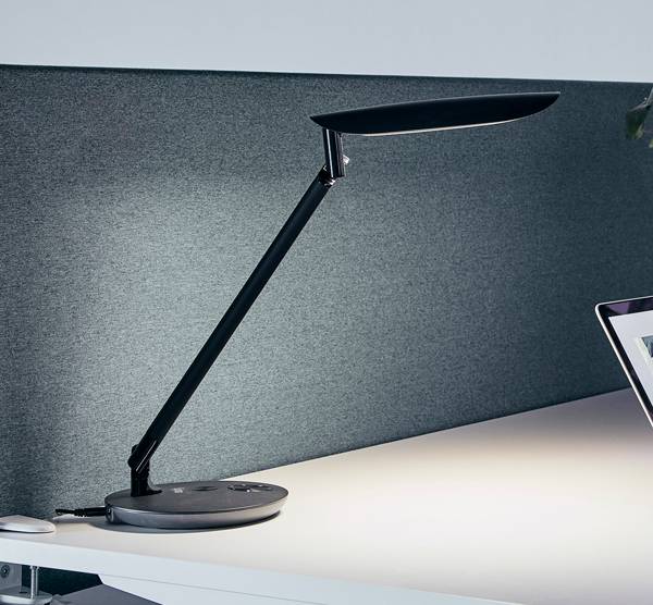 Funkia LED