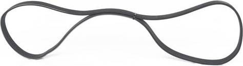 Bosch V-Ribbed Belt 6PK976
