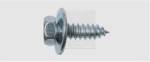 SWG Screw Bolt