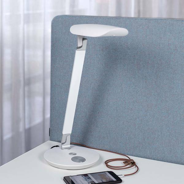 Funkia LED