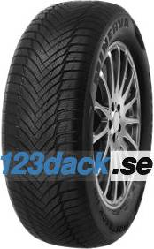 Minerva Frostrack HP 195/65 R15 91T
