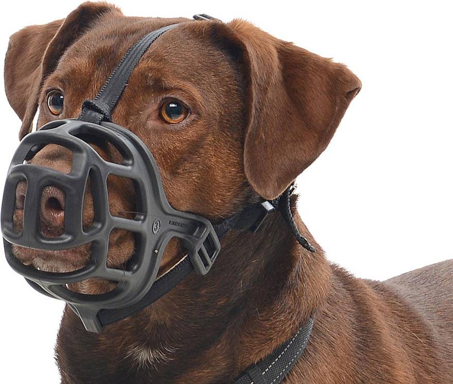Buster Extreme Dog Muzzles Rottweiler