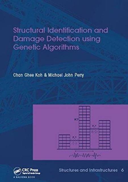 Ghee Structural Identification and Damage Detection using. Bog, Paperback softback, Engelsk