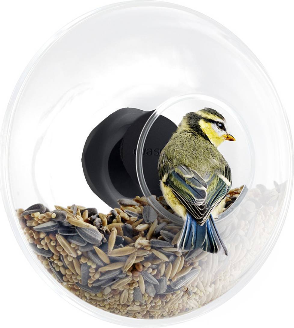 Window Feeder Ball Small
