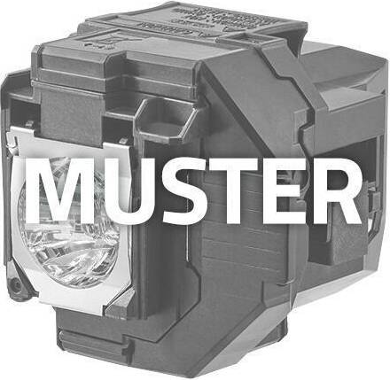 Neutral Replacement Lamp Benq SP840 Module