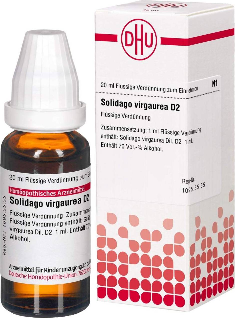 Solidago Virgaurea D 20Stk.