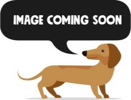 Dogman Rabbit treat 100g