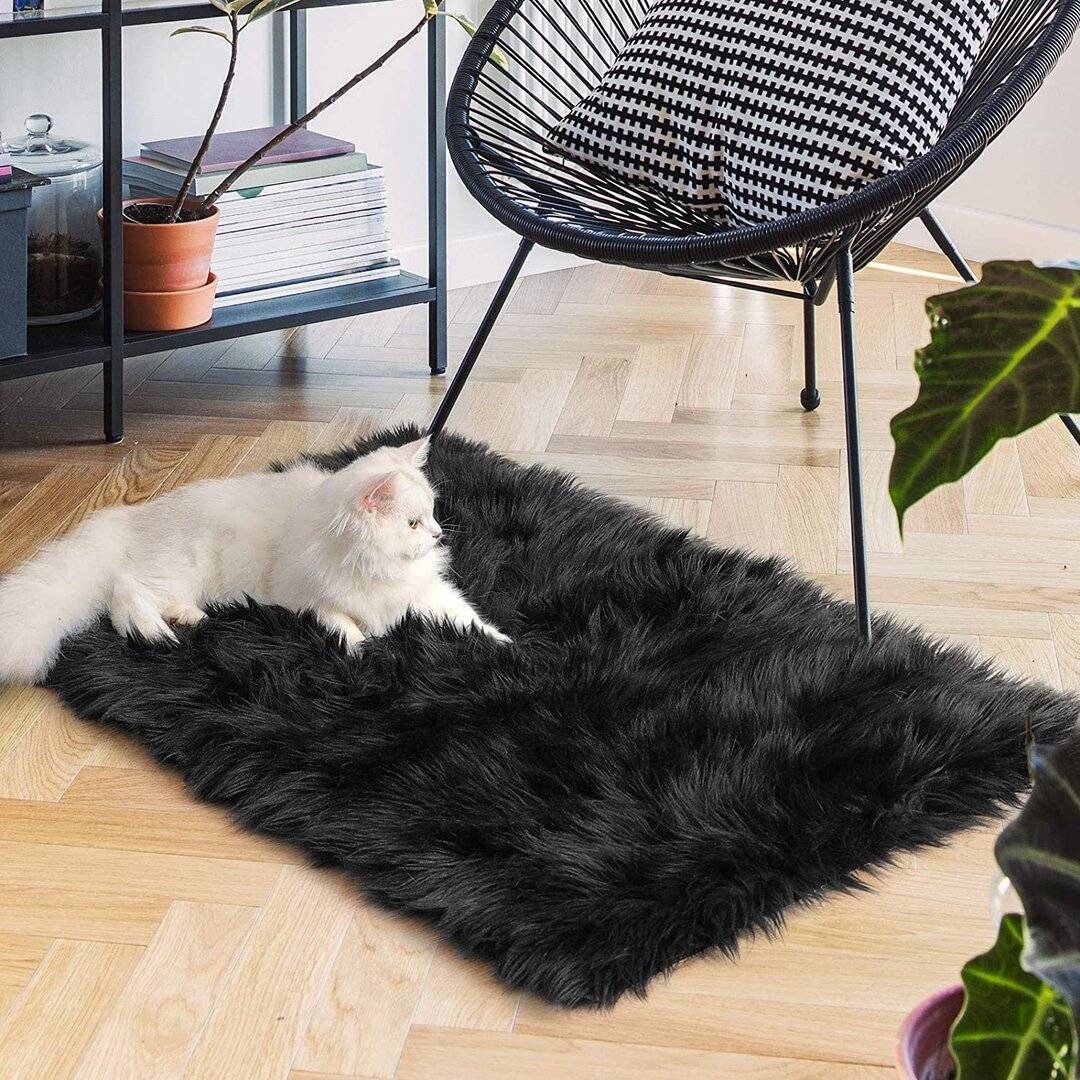 Canora Grey Ismene Rug Black