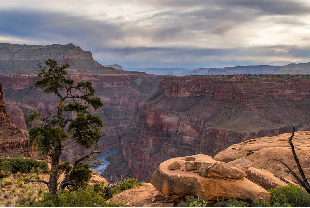 Canyon.