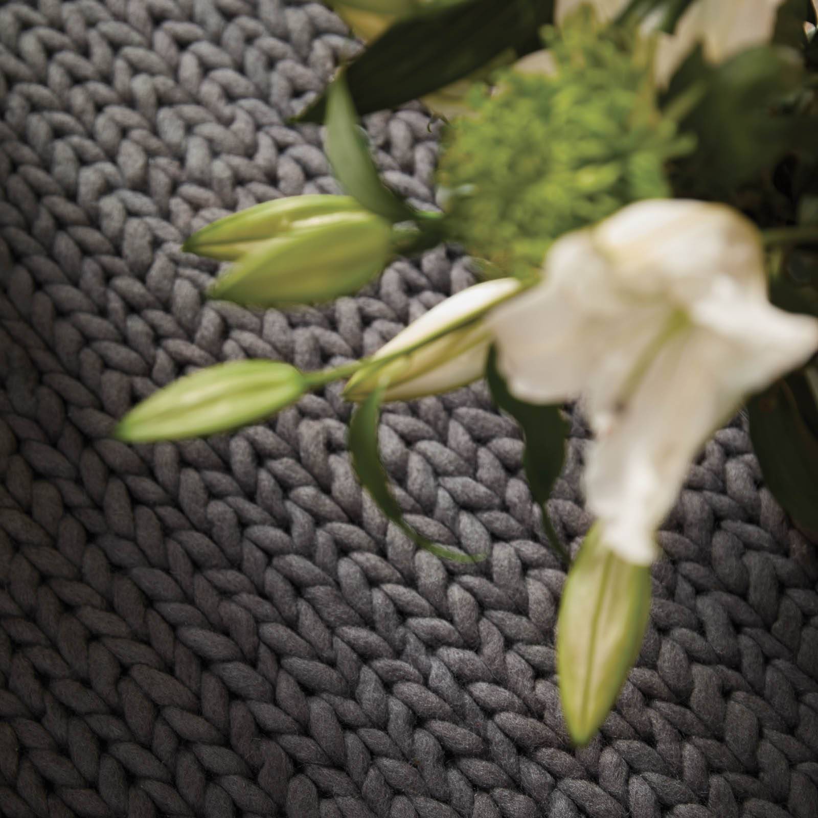 Fusion Rug Fossil