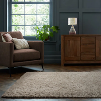 Beige Rug