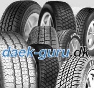 Winter HP 155/80 R13 79T