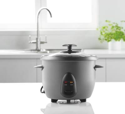 George Rice Cooker Silver