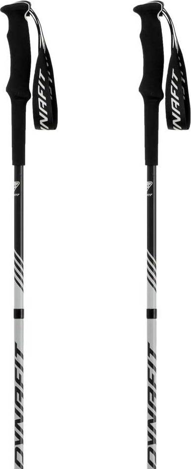 Dynafit Alpine Pro