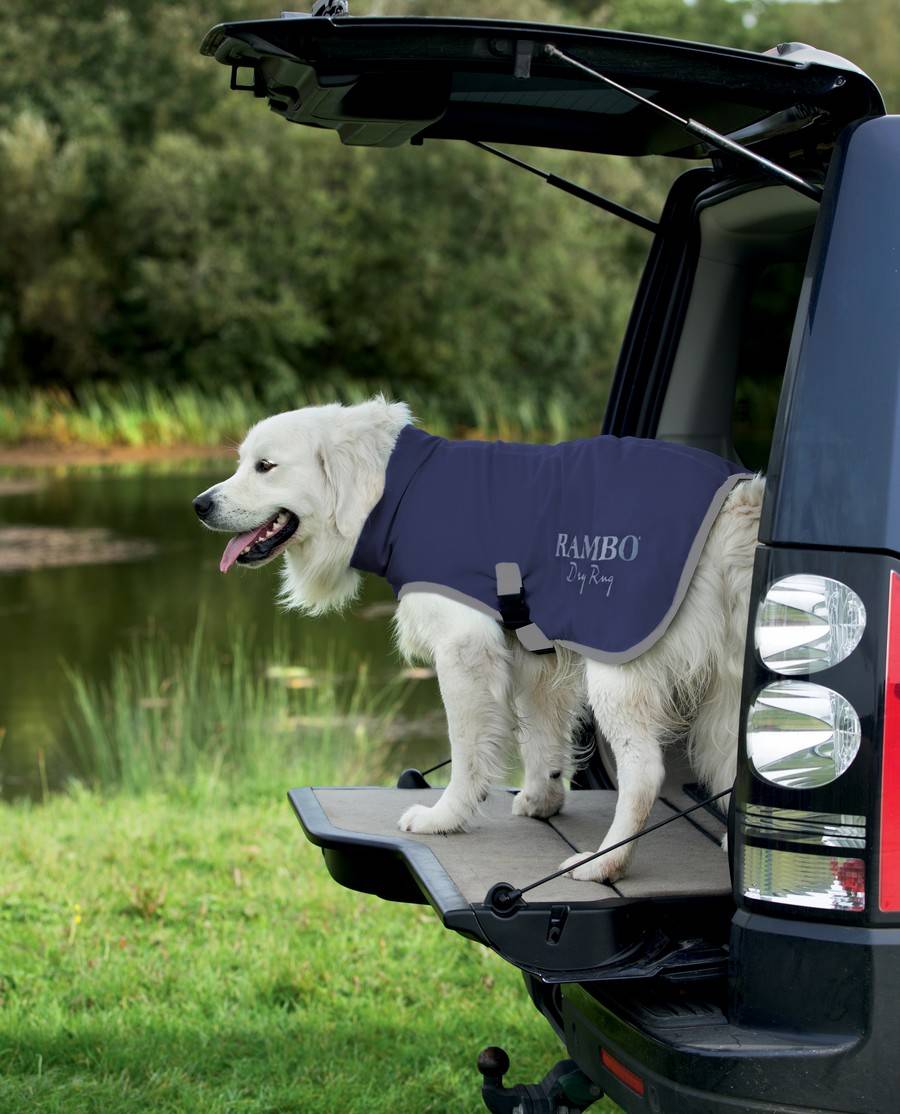 Dog Dry Rug