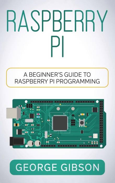 Raspberry pi Raspberry Pi: A Beginner's Guide to Raspberry Pi Programming (Hardcover)
