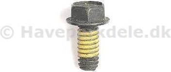 Briggs & Stratton Screw