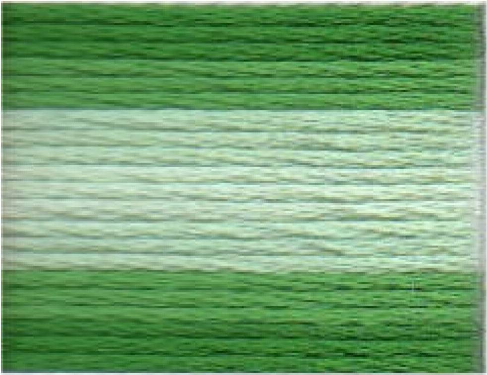 Stranded Cotton Embroidery Thread Colour 1213 each