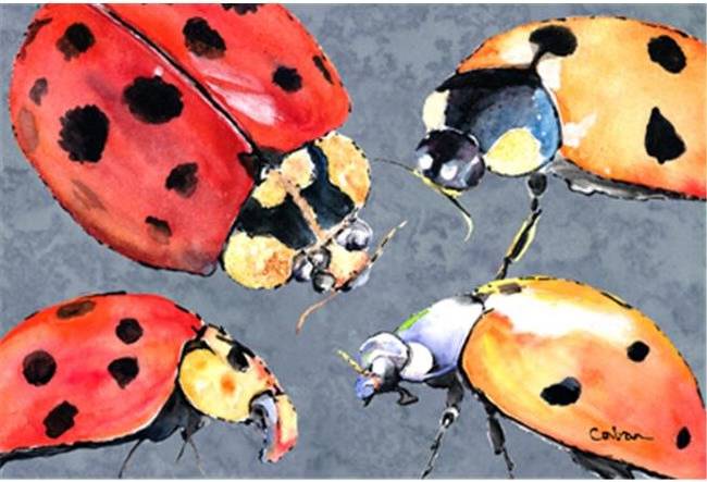 CoolCookware Lady Bug Place Mat