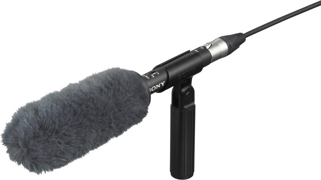 ECM-VG1