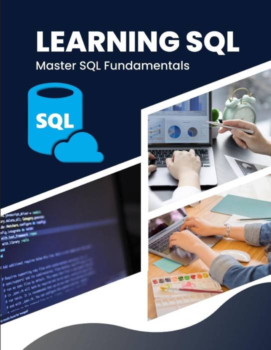 Learning SQL: Master SQL Fundamentals Pocketbok (Häftad, 2010)