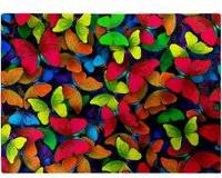 Warren Reed Rainbow Butterflies Chopping Board
