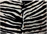Warren Reed Zebra Pattern Chopping Board