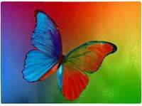Warren Reed Vibrant Butterfly Chopping Board
