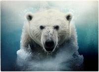 Warren Reed Polar Splashart Chopping Board