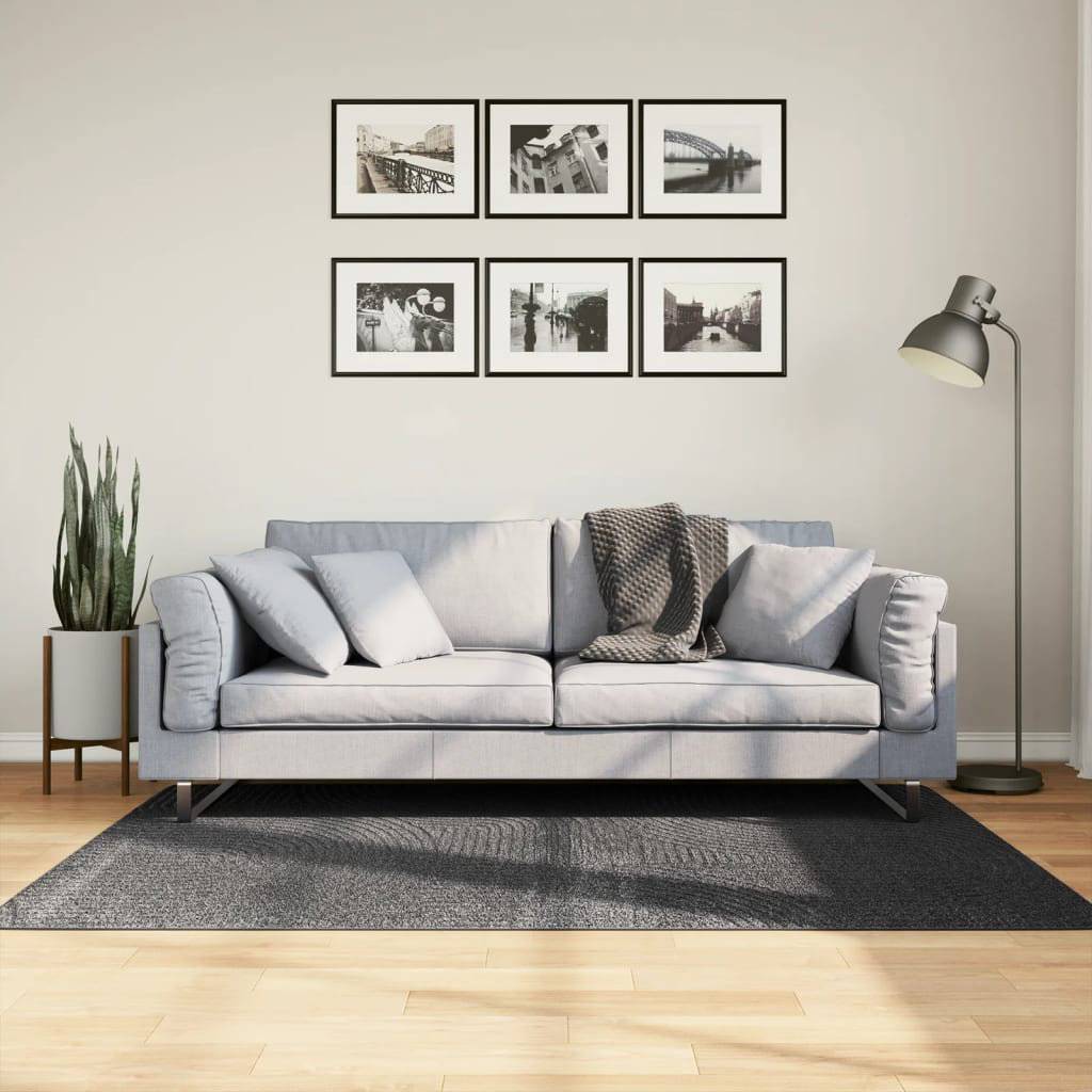 Brayden Studio Calles Area