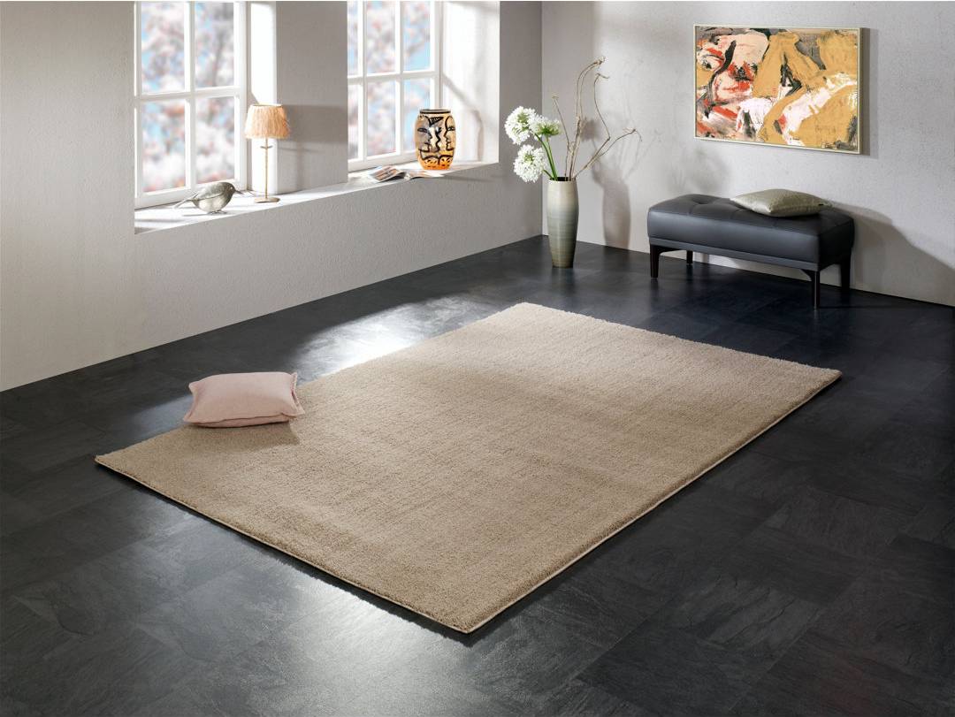 Brayden Studio Rug Beige