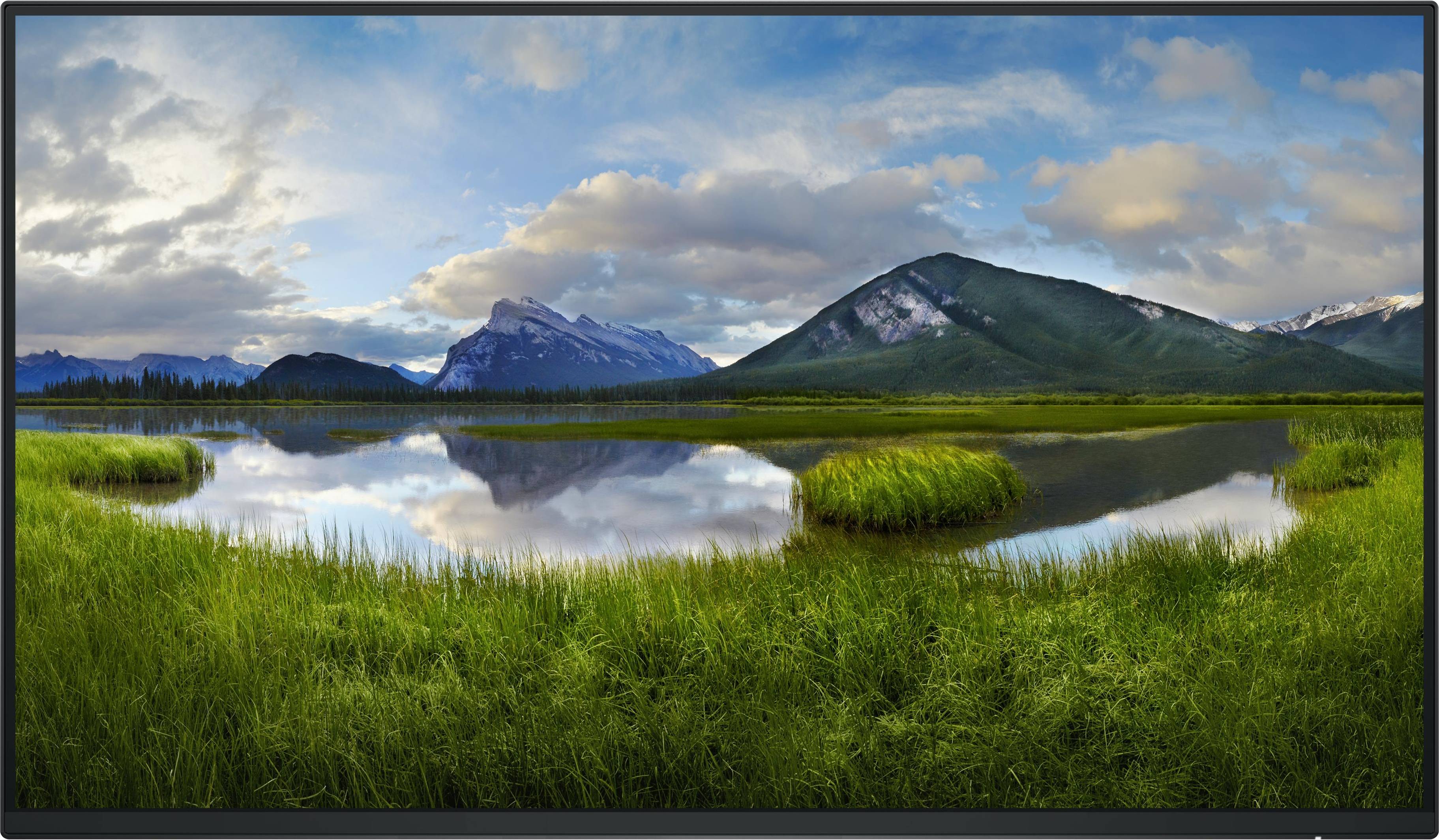 Dell P2425HE 24 Inch LED Monitor