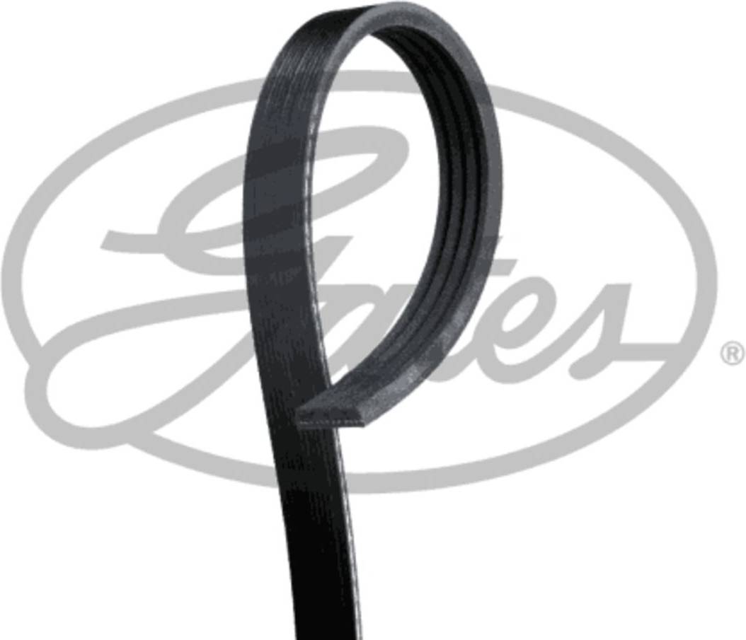 Gates V-Ribbed Belt