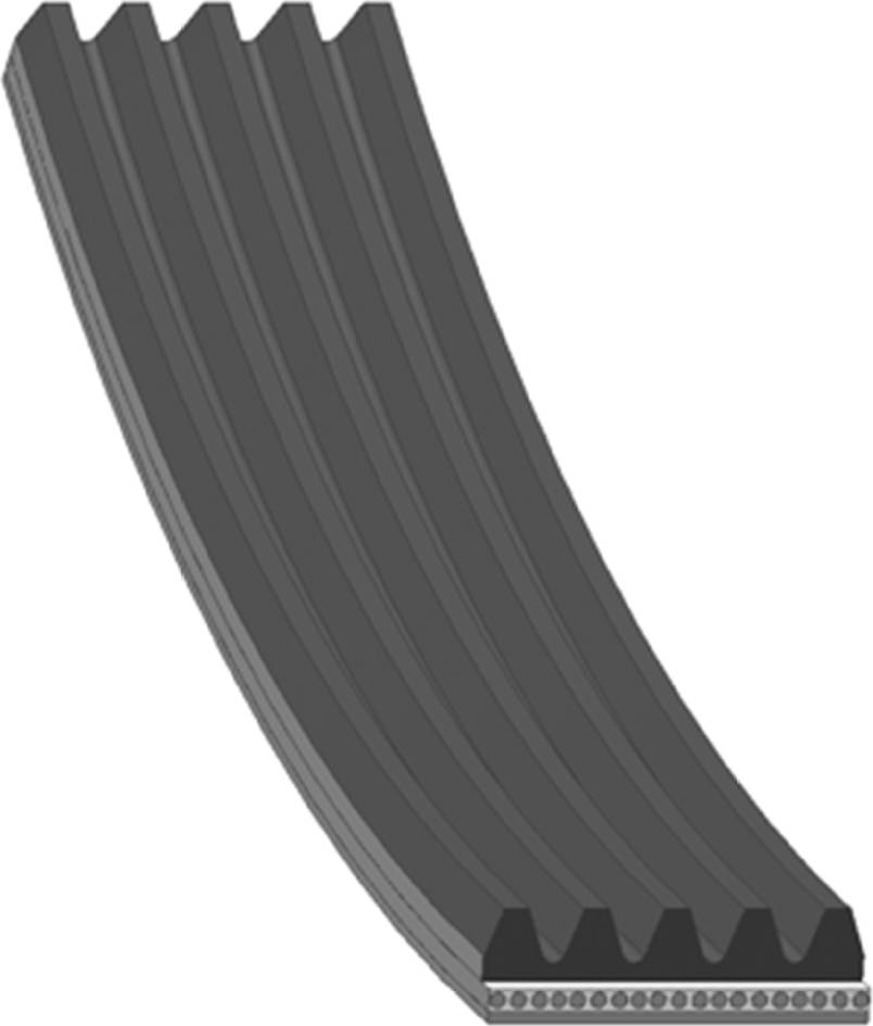 Multi-Rib Belt AD05R1682