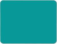 Warren Reed Teal Blue b Place Mat
