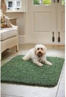 Buddy 'Buddy' Rug Green