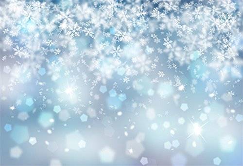 10x8ft Falling Snowflake Portrait Backdrops