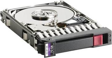 HP SAS 72G 2.5 Inch Disco Rigido
