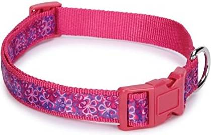 Hundhalsband Rosa