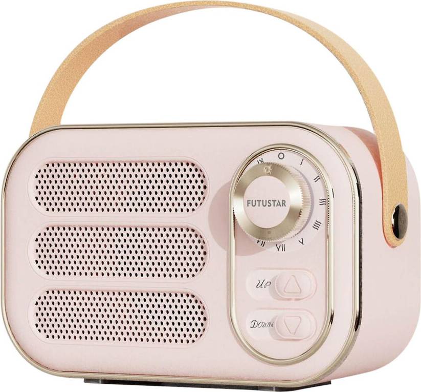Multifunctional Mini Portable FM Radio